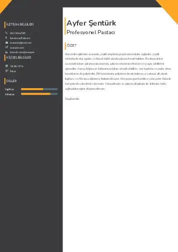 Pastacı Cv Örnekleri cv indir